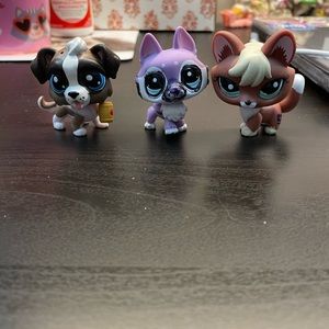 Fox, Husky, and St Bernard LPS